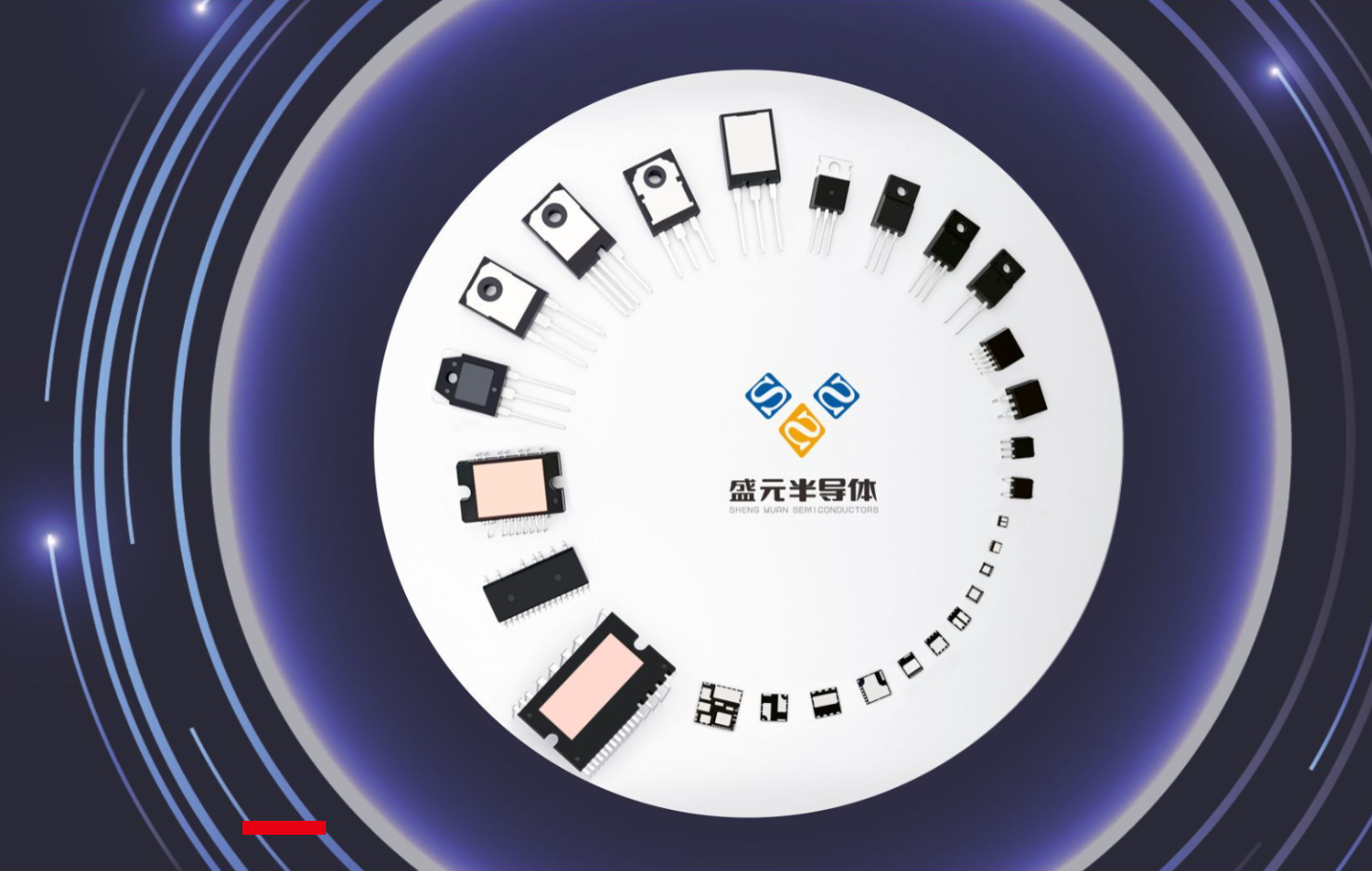 盛元半导体.png